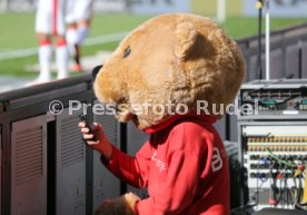 VfB Stuttgart - 1. FSV Mainz 05