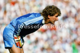 14.06.88 Deutschland - D&auml;nemark