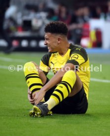 FC Bayern M&uuml;nchen - Borussia Dortmund