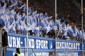 23.02.25 TSG 1899 Hoffenheim - VfB Stuttgart