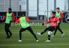 VfB Stuttgart Training