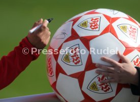 VfB Stuttgart Training