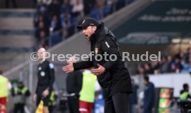 23.02.25 TSG 1899 Hoffenheim - VfB Stuttgart