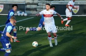 05.01.25 VfB Stuttgart - FC Luzern