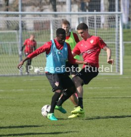 VfB Stuttgart Training