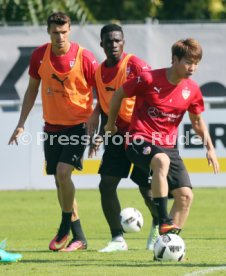 VfB Stuttgart Training