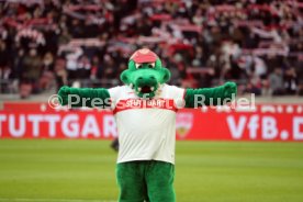 23.11.24 VfB Stuttgart - VfL Bochum