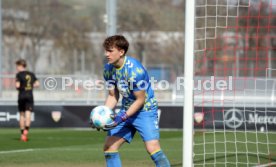 08.03.26 U19 VfB Stuttgart - U19 1. FC K&ouml;ln