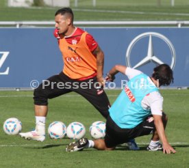 vfb_training