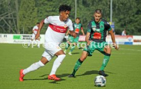 FC Wacker Innsbruck - VfB Stuttgart