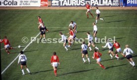 FIFA WM 1978