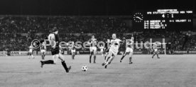 VfB Stuttgart - Cosmos New York