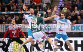 TVB Stuttgart - Frisch Auf G&ouml;ppingen