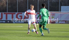 01.02.25 U19 VfB Stuttgart - U19 Borussia M&ouml;nchengladbach