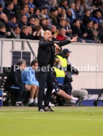 TSG 1899 Hoffenheim - Manchester City