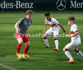 U19 VfB Stuttgart - U17 FC Augsburg