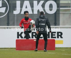 VfB Stuttgart Training
