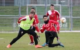 VfB Stuttgart Training