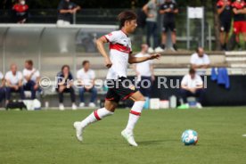 14.07.21 VfB Stuttgart - SV Darmstadt 98