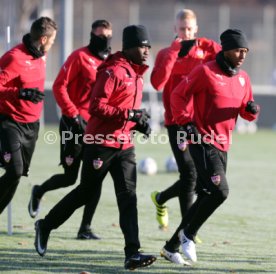 VfB Stuttgart Training