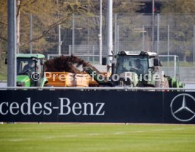 VfB Stuttgart Training