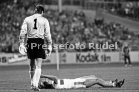VfB Stuttgart - 1. FC K&ouml;ln