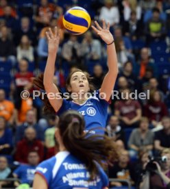 Dresdener SC - Allianz MTV Stuttgart