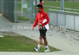VfB Stuttgart Training
