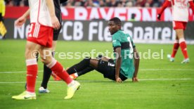 17.12.23 FC Bayern M&uuml;nchen - VfB Stuttgart
