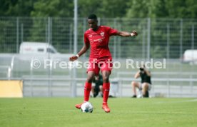 FC Z&uuml;rich - VfB Stuttgart