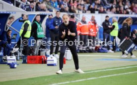 02.11.24 TSG 1899 Hoffenheim - FC St. Pauli