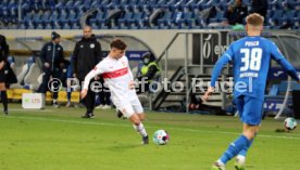 21.11.20 TSG 1899 Hoffenheim - VfB Stuttgart