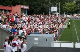 15.08.24 VfB Stuttgart Training