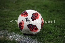SG Sonnenhof Gro&szlig;aspach - TSV 1860 M&uuml;nchen