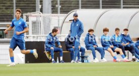 14.09.24 U17 VfB Stuttgart - U17 TSG 1899 Hoffenheim