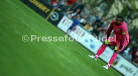 Tim Wiese (SSV Dillingen)