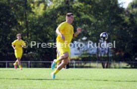 23.08.26 TSV Ph&ouml;nix Steinsfurt - SV Tiefenbach