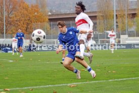 25.11.23 U19 VfB Stuttgart - U19 TSG 1899 Hoffenheim