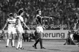 VfB Stuttgart - Cosmos New York