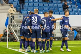 22.10.26 TSG 1899 Hoffenheim - Olympique Lyon