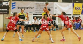TV Nellingen
