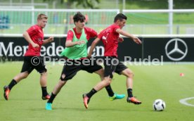 VfB Stuttgart Training