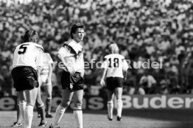 14.06.88 Deutschland - D&auml;nemark