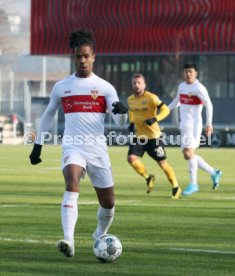 VfB Stuttgart - SG Dynamo Dresden