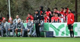 08.01.23 VfB Stuttgart - FC Sion
