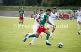 31.08.24 FC Esslingen - TSG Balingen II