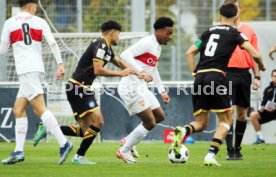 04.11.23 U19 VfB Stuttgart - U19 Karlsruher SC
