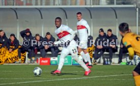 VfB Stuttgart - SG Dynamo Dresden