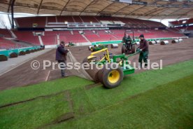 VfB Stuttgart Neuer Rasen