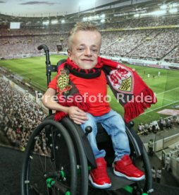 VfB Stuttgart eSports Niklas Luginsland